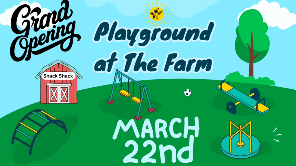 playful & colorful cute illustration grand opening of kids playground flyer (16 x 9 in)